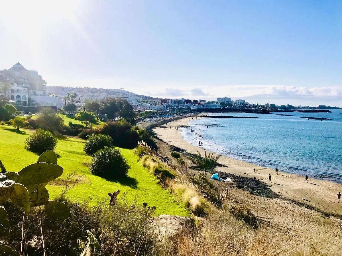 Beautiful Deluxe Apartment Sun And Sea Costa Adeje  Costa Adeje (Tenerife)